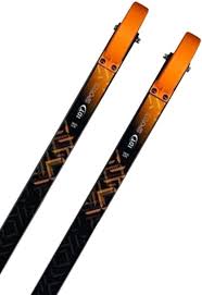 IDT Skate Elite RM1